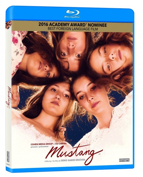 Mustang_Blu ray